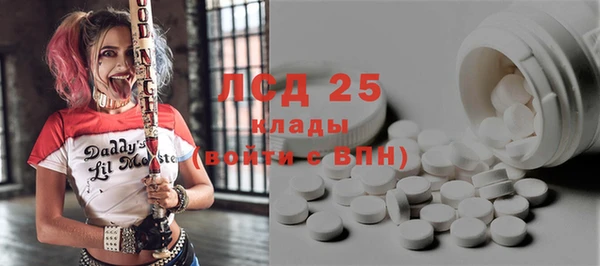 ПСИЛОЦИБИНОВЫЕ ГРИБЫ Алексин
