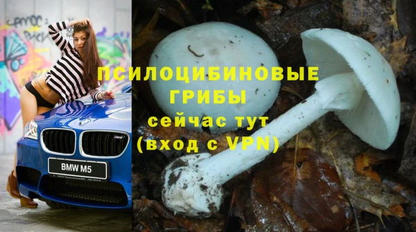 кокаин колумбия Алзамай