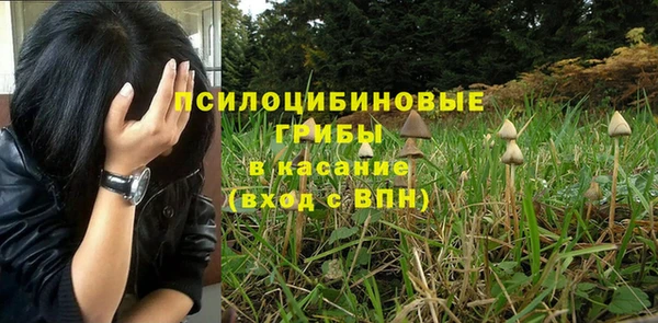 ПСИЛОЦИБИНОВЫЕ ГРИБЫ Алексин